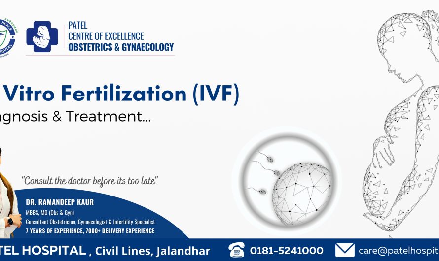 In Vitro Fertilization (IVF) – Diagnosis | Treatment