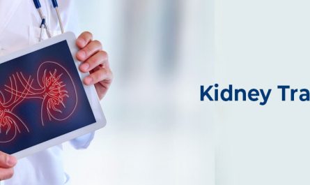 Best Kidney Transplant Centre in Jalandhar Punjab