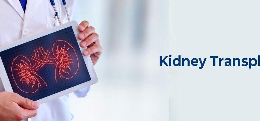 When to decide if you need to go for a Kidney Transplant